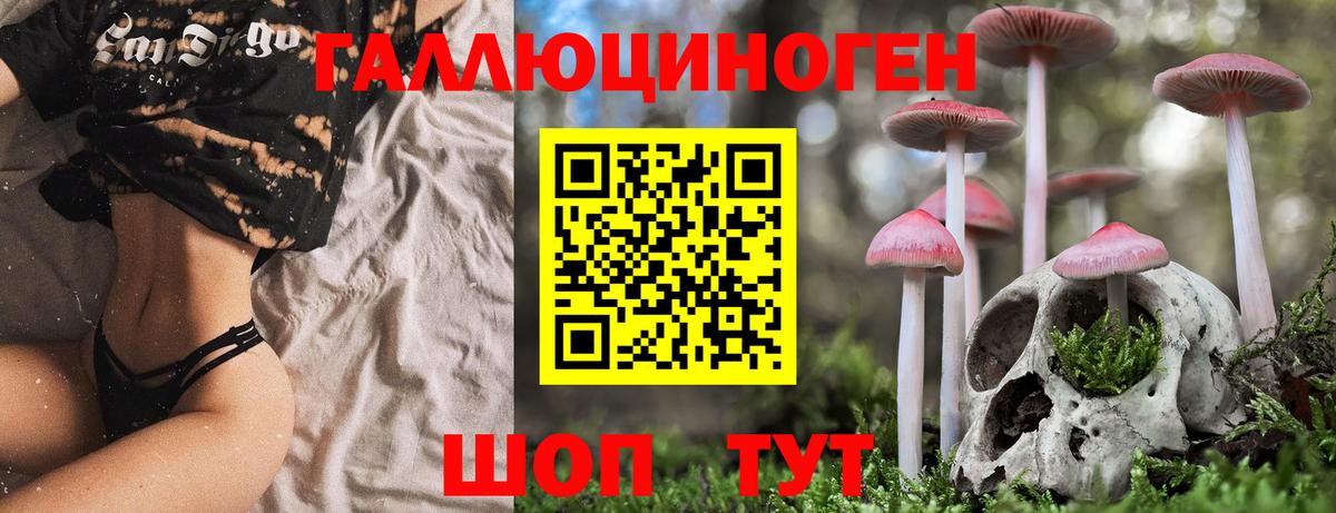 Галлюциногенные грибы Magic Shrooms  Вход с VPN  Электрогорск 